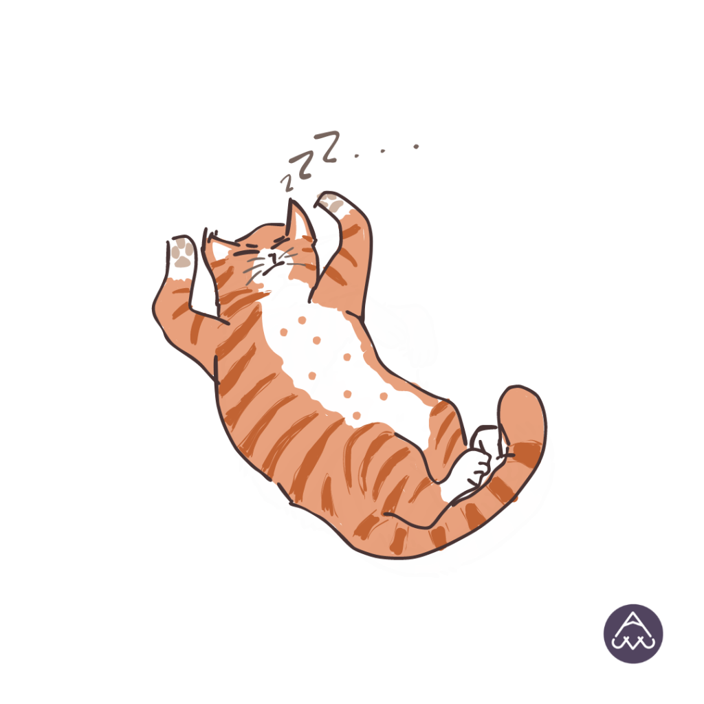 sleeping cat illustration